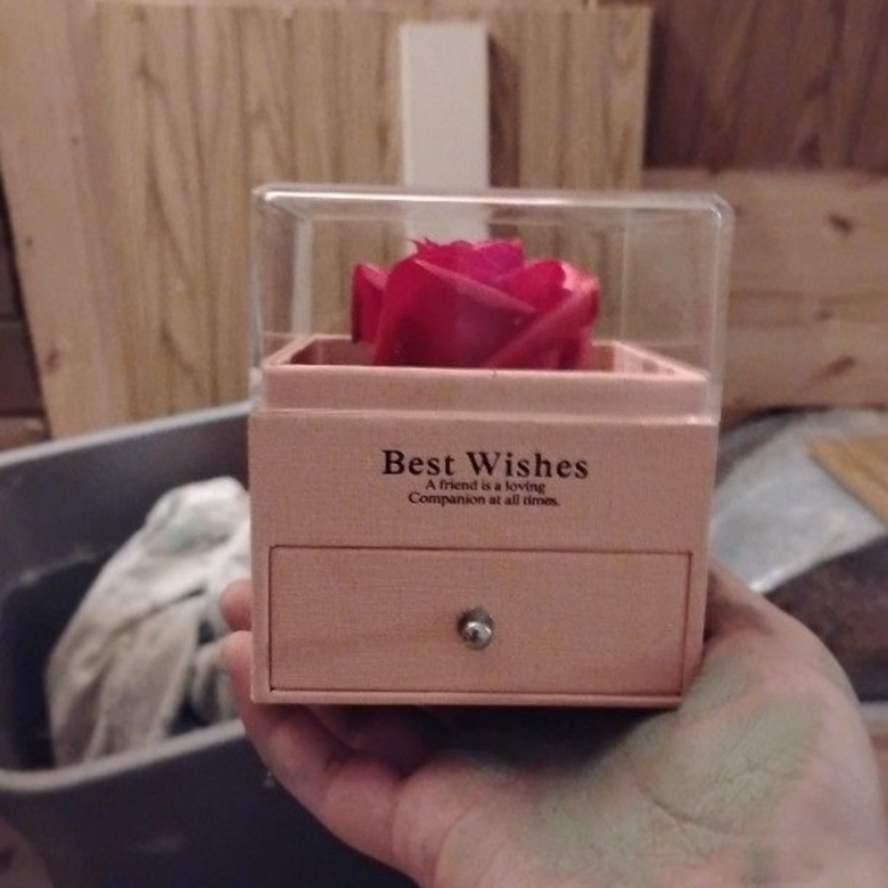 Red Rose in Display Box